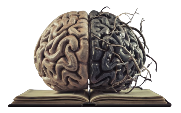Cérebro comparação